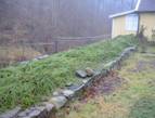 R�nnan redo f�r vintern